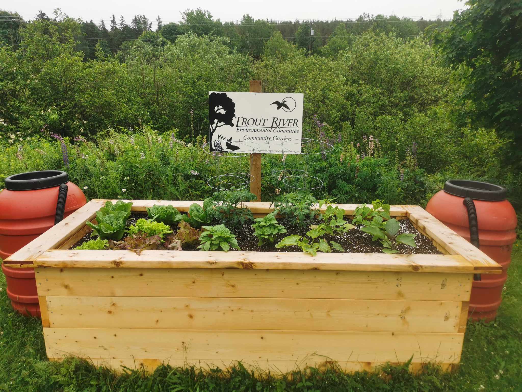 Trout River Environmental Committee