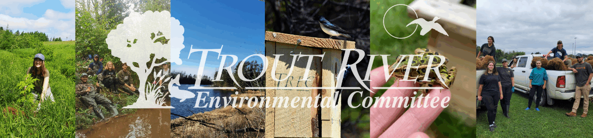 Trout River Environmental Committee